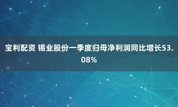 宝利配资 锡业股份一季度归母净利润同比增长53.08%