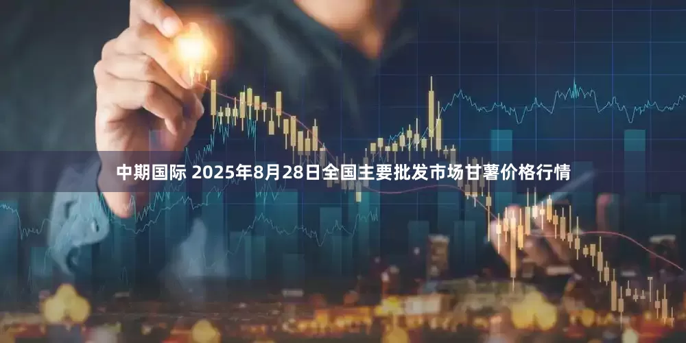 中期国际 2025年8月28日全国主要批发市场甘薯价格行情